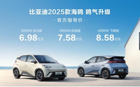比亚迪2025款海鸥上市 售6.98万元-8.58万元