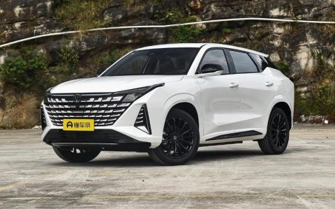2024年必买SUV：中国心十佳新能源神车超能打！